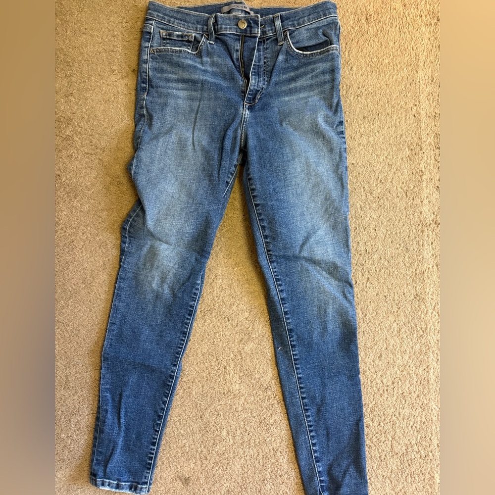 Joe's Jeans Women's Skinny Blue Denim